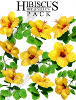 Hibiscus Yellow & Red Pack