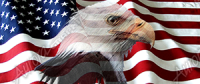 American Flag Waving 2 Eagle