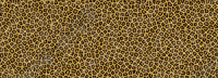 Leopard Hide 2