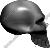 Carbon Fiber Skull Side