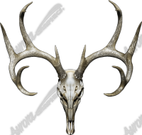 Buck Skull 2