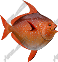 Opah