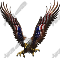 American Eagle Flight Angled