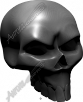 Carbon Fiber Skull Angle 2