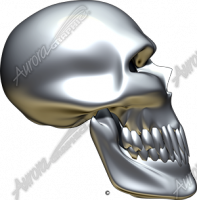 Chrome Skull Side