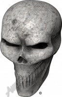 Bone Skull Angle 1