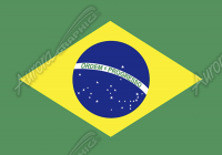 Brazilian Flag Flat