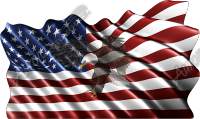 Waving American Flag Flying Eagle 2 Cloth