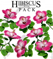 Hibiscus Pink Pack
