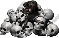 Skull Pile with Snake