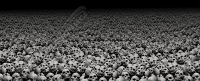 Sea of Skulls