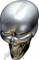 Chrome Skull Angle 1