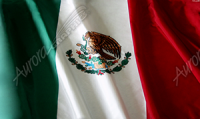 Mexican Flag Waving