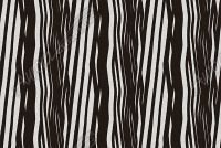 Zebra Hide 1