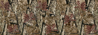 Real Forrest Brown Camo