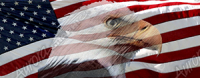 American Flag Waving 1 Eagle