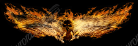 Burning Phoenix 1
