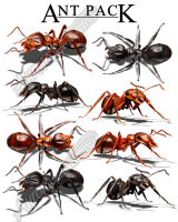 Ant Pack