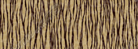Tanned Tiger Hide