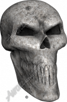 Bone Skull Angle 2