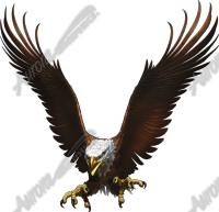 Eagle Flight Angled