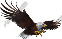 Eagle Flight Side