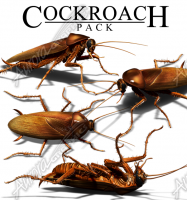 Cockroach Pack