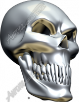 Chrome Skull Angle 2