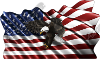 Waving American Flag Flying Eagle Cloth