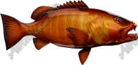 Cubera Snapper