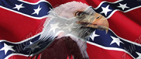 Rebel Flag Eagle