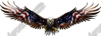 American Eagle Flight Wide