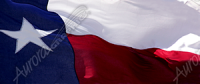 Texas Flag 2