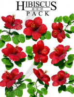 Hibiscus Red Pack