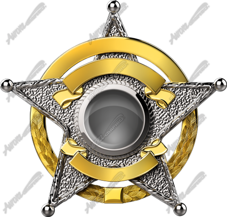 Sheriff Badge 2