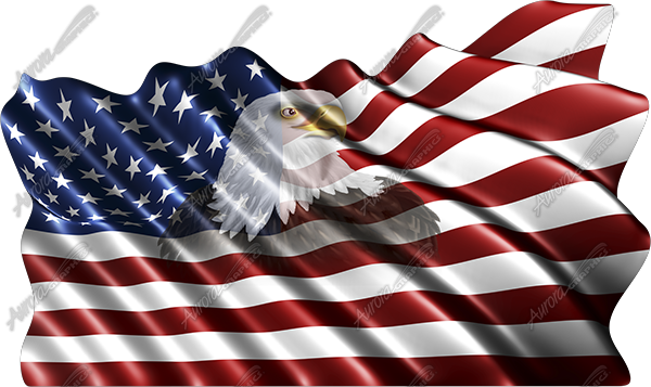 Waving American Flag Eagle Head Small 2 Cloth