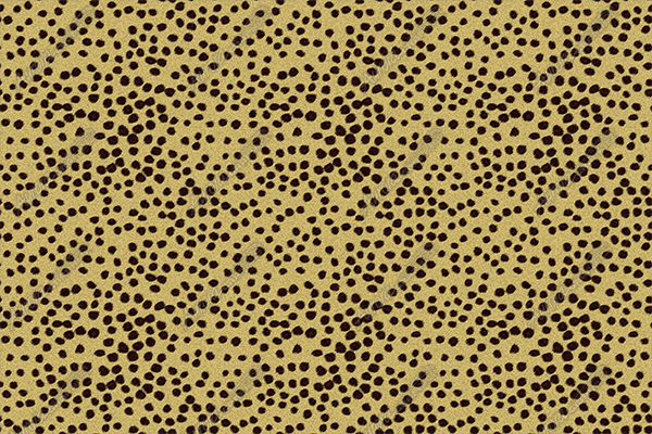 Cheetah Hide