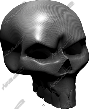 Carbon Fiber Skull Angle 2
