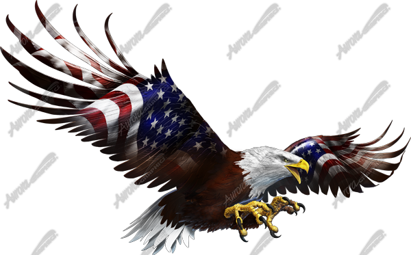 American Eagle Flight Side