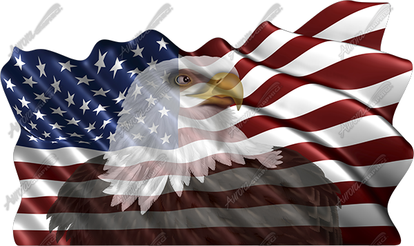 Waving American Flag Eagle Head