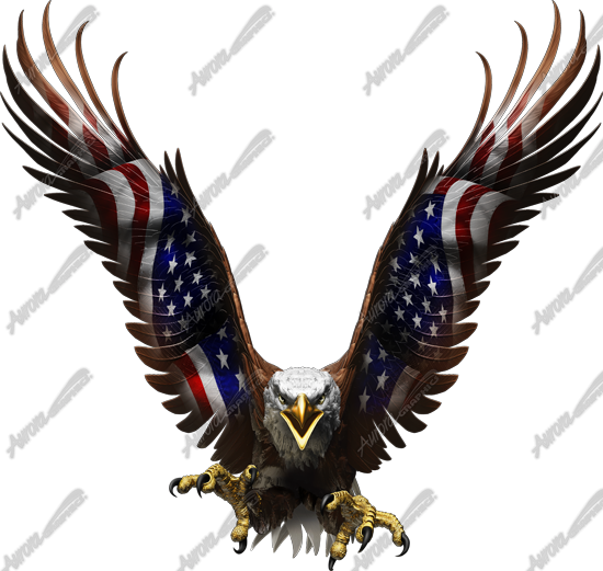 American Eagle Flight Straight