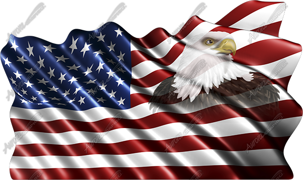 Waving American Flag Eagle Head Small 4 Cloth