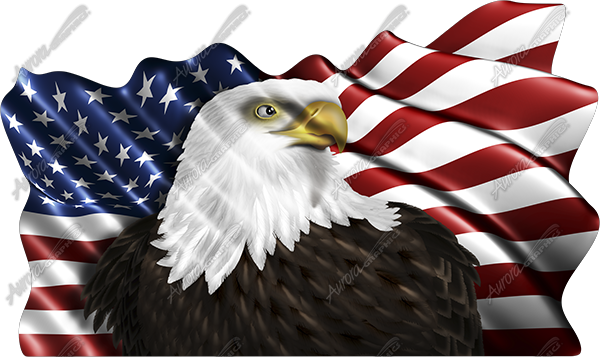 Waving American Flag Eagle Head 2 Cloth