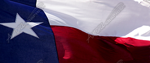 Texas Flag 1