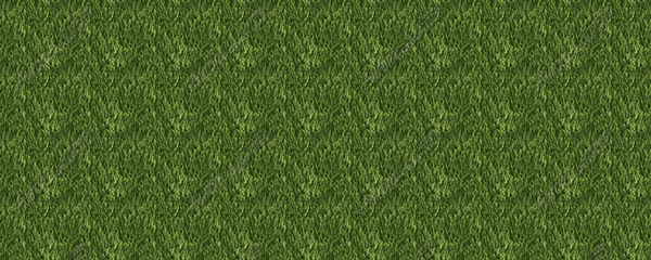 Grass 1