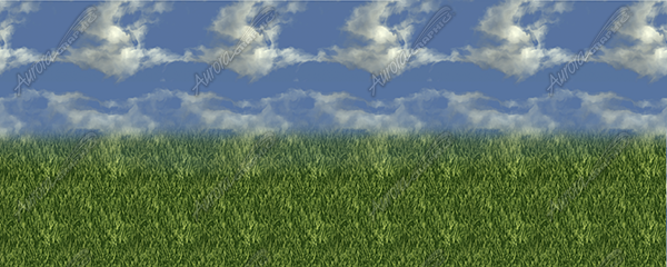 Grass and Blue Sky