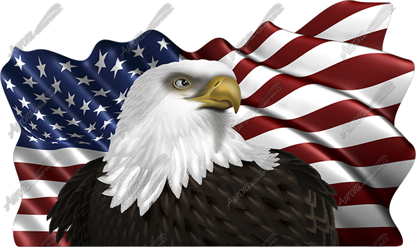 Waving American Flag Eagle Head 2