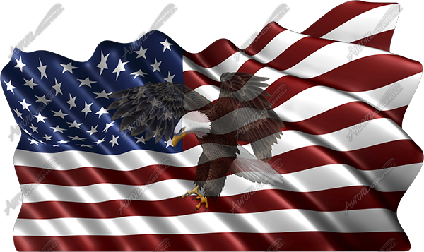 Waving American Flag Flying Eagle 2