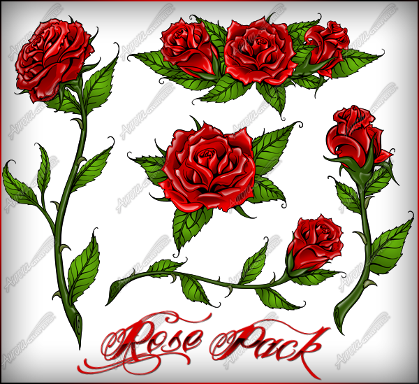 Rose Pack