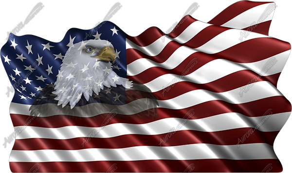 Waving American Flag Eagle Head Small 3